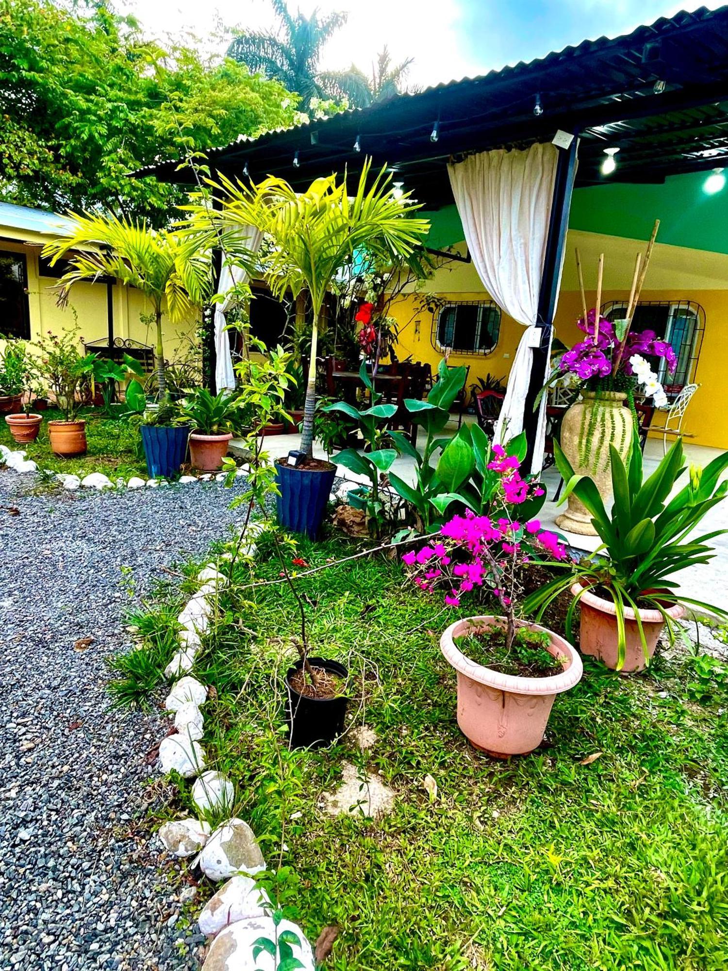 Hotel Tierra De Volcanes La Fortuna Extérieur photo